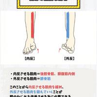 画像427