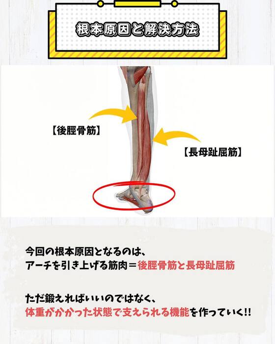 画像440