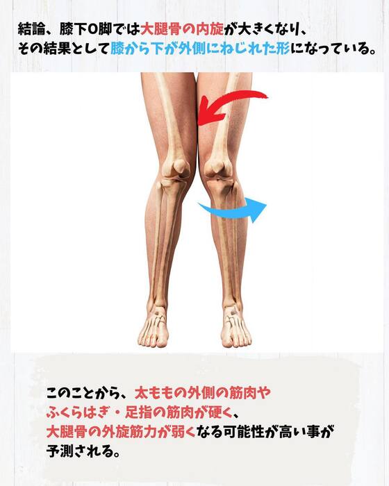 画像453