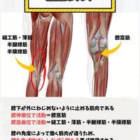 画像455