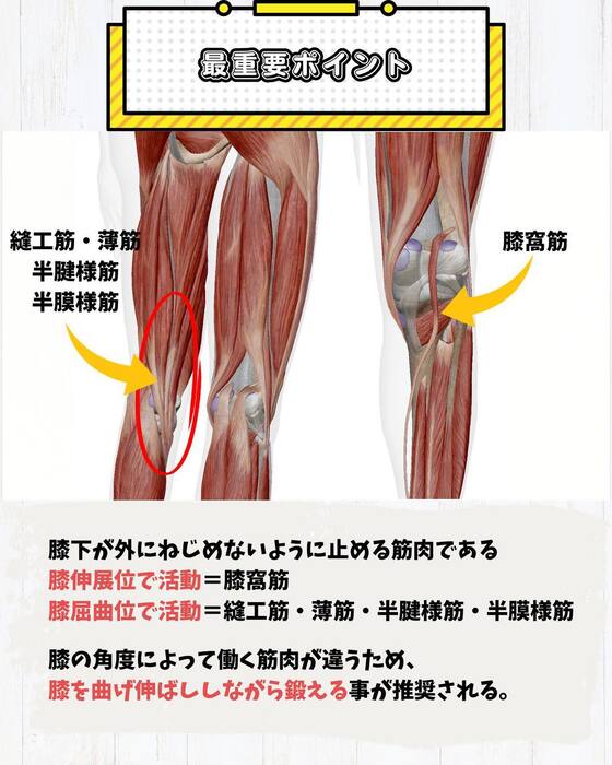 画像455